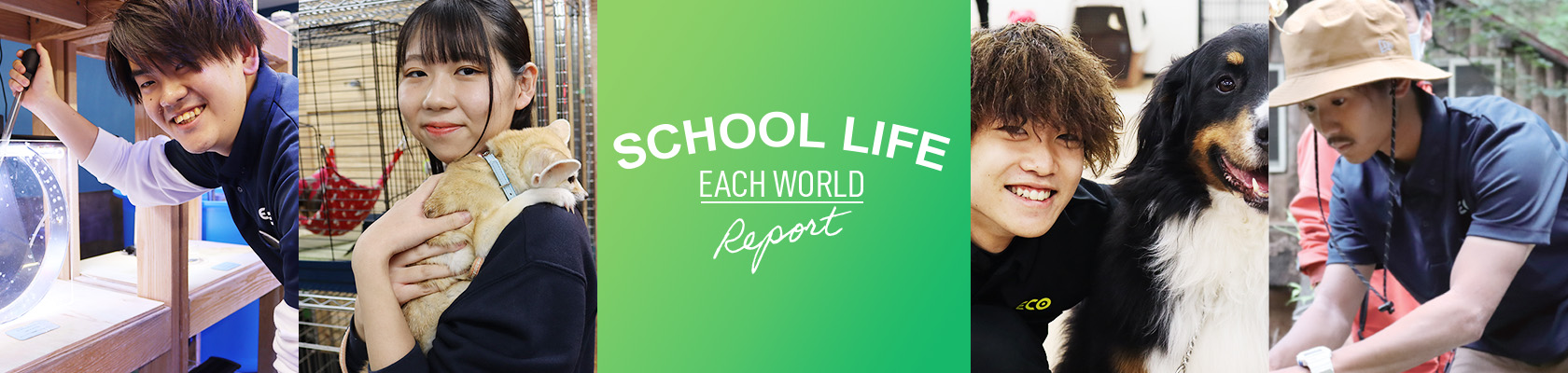 SCHOOL LIFE EACH WORLD Report