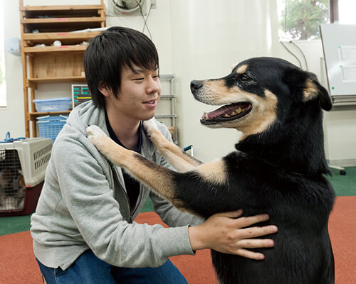 出願日程・出願方法