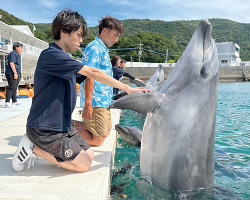 校外実習