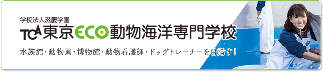 東京ECO動物海洋専門学校