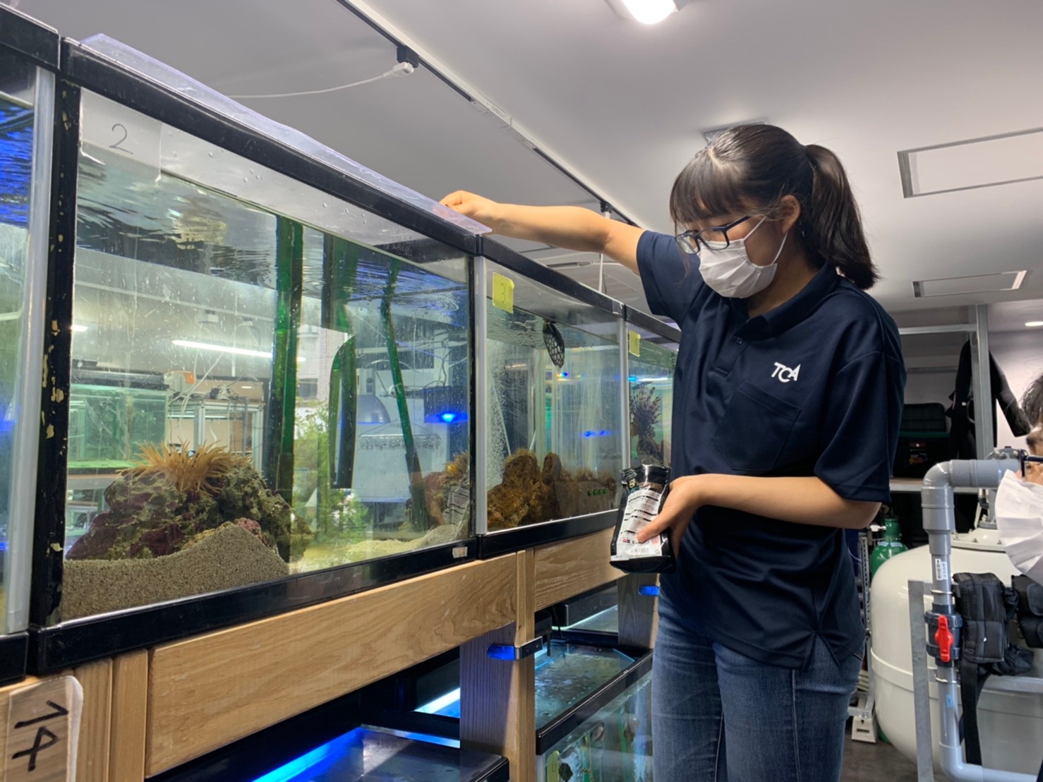 水族館の飼育当番復活 Tca Ecoブログ Tca東京eco動物海洋専門学校