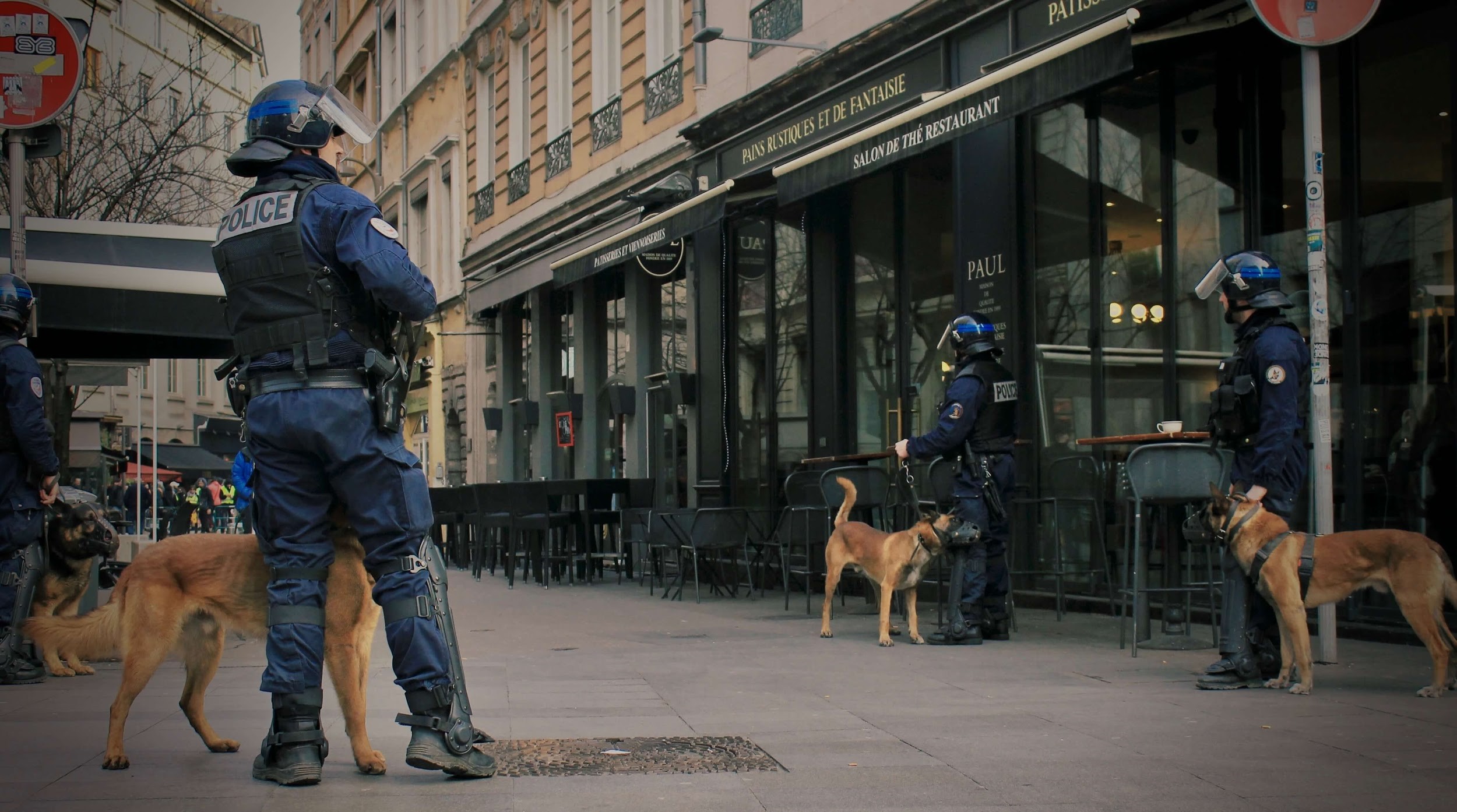 警察と警察犬