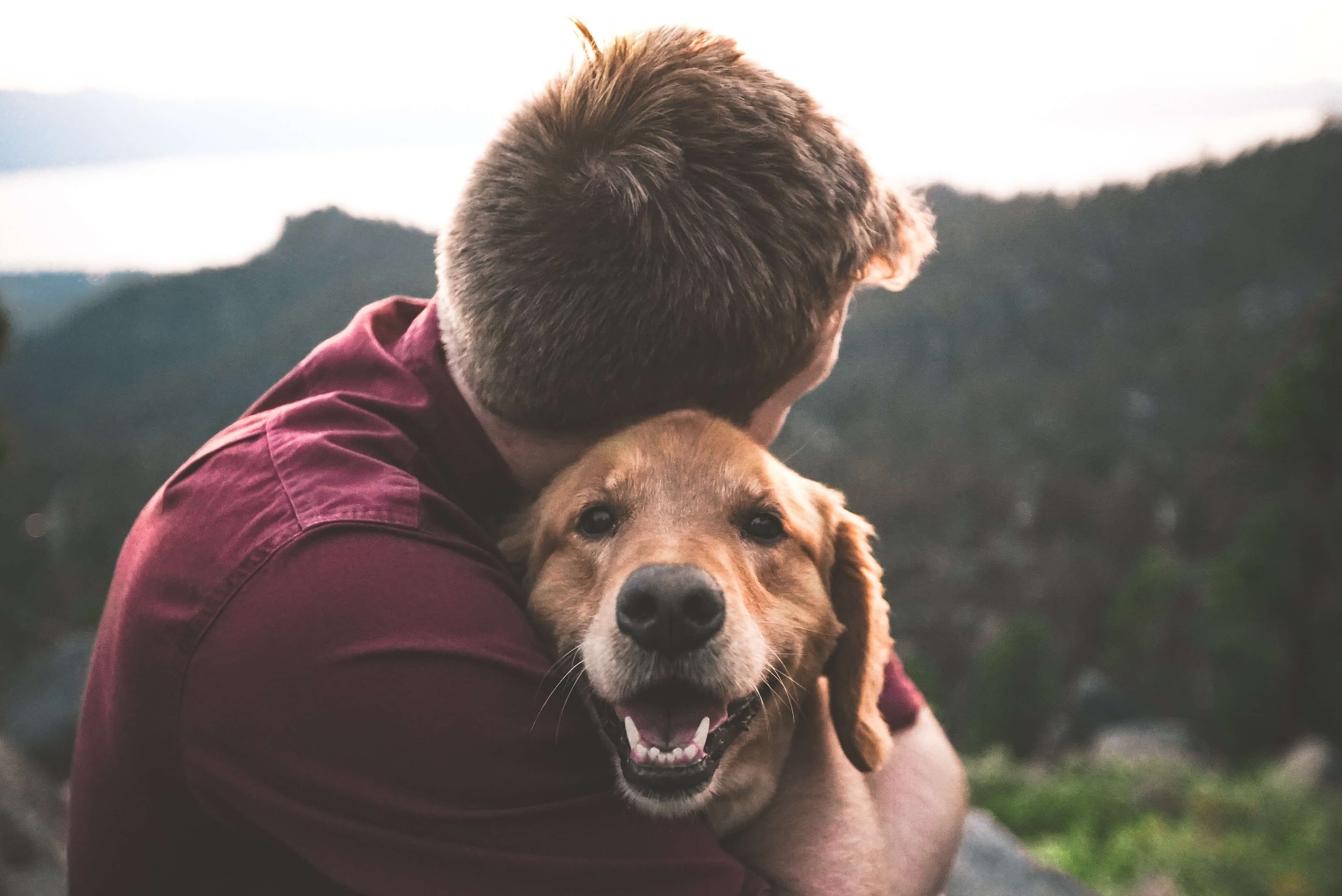 自然の中で犬を抱える男性