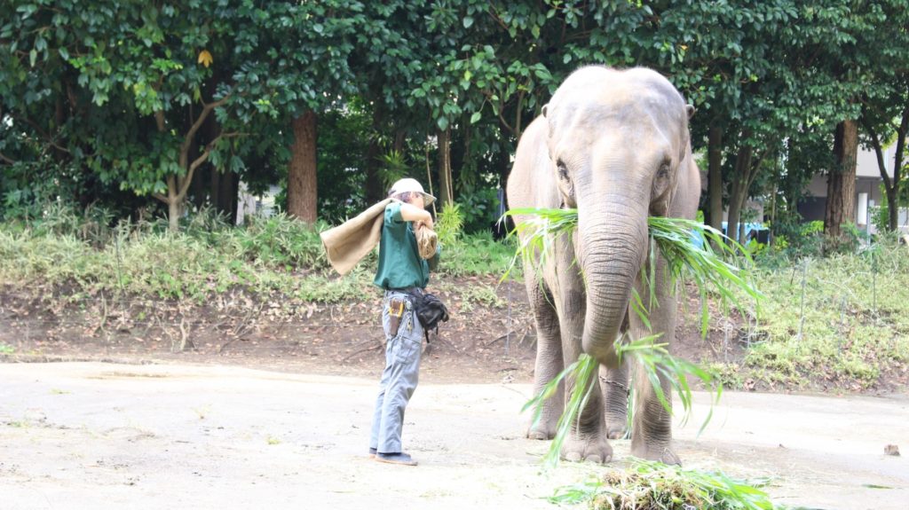 動物園飼育員の1日の生活は？