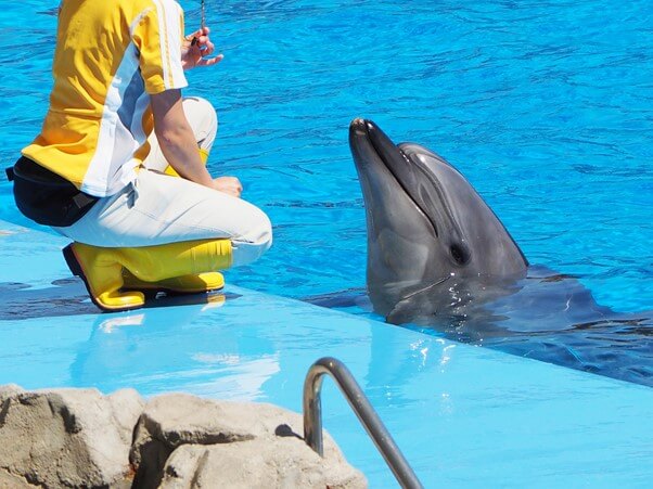 水族館 飼育 員 に なるには 高校