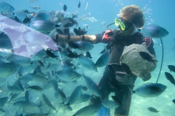 まとめ：水族館飼育員・解説員に興味があるなら第一歩を踏み出してみましょう