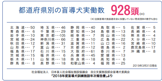 盲導犬訓練士の将来性は？