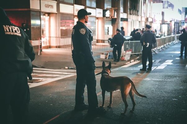 警察犬訓練士の大変なこと