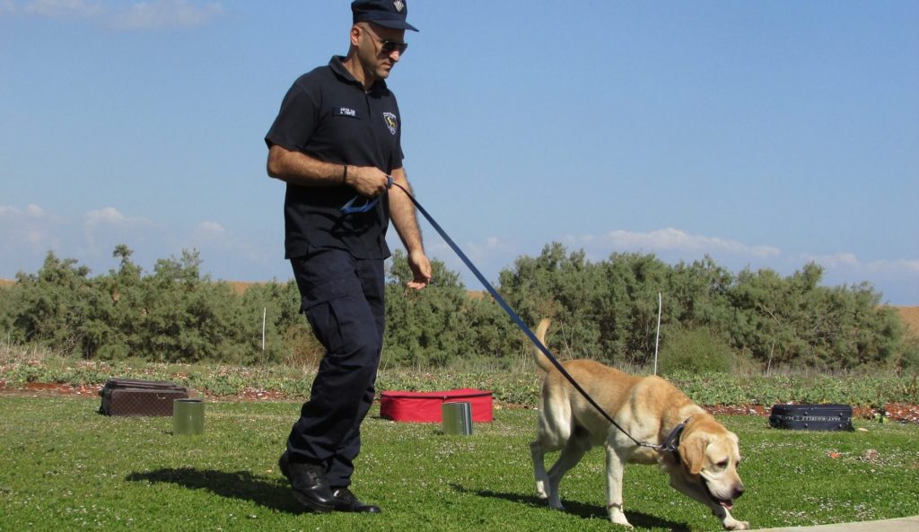 警察犬訓練士とドッグトレーナーとの違いを解説