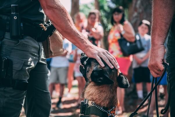 警察犬訓練士の就職先は？採用試験は難しい？