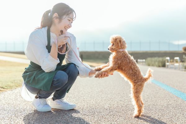 ブリーダーに向いている人の特徴