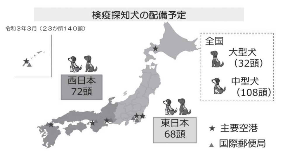 空港探知犬ハンドラーの仕事場や就職先は？