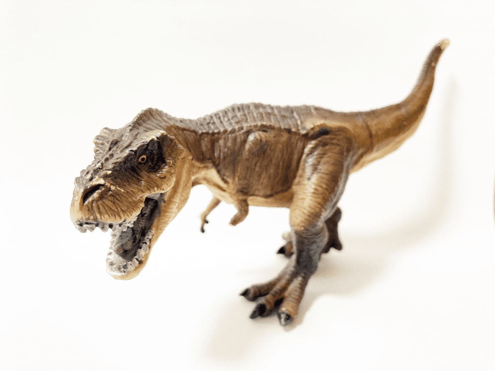 恐竜は研究によって種類や体長が変わることもある