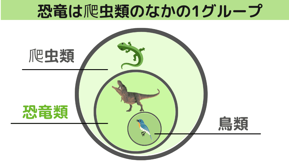 恐竜は爬虫類のなかの1グループ-1
