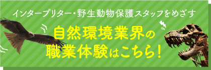 自然環境業界の職業体験はこちら！