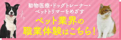 ペット業界の職業体験はこちら！