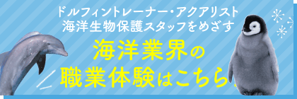 海洋業界の職業体験はこちら！