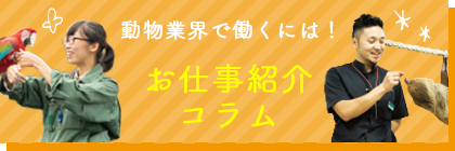 動物業界で働くには！お仕事紹介コラム