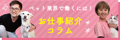 ペット業界で働くには！お仕事紹介コラム