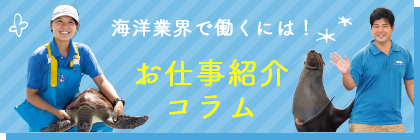 海洋業界で働くには！お仕事紹介コラム