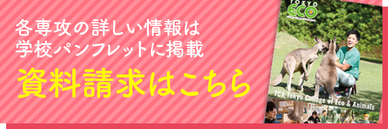 各専攻の詳しい情報は学校パンフレットに掲載 資料請求はこちら