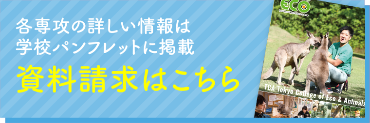 各専攻の詳しい情報は学校パンフレットに掲載 資料請求はこちら