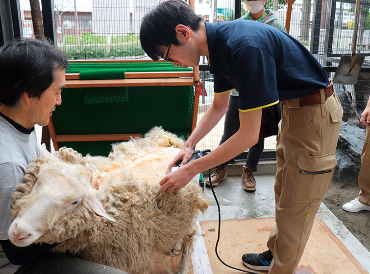 動物園研究