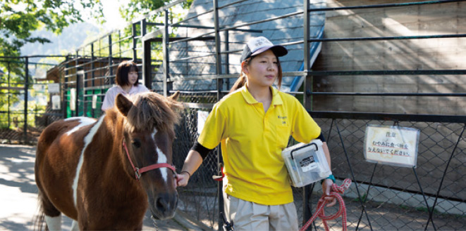 高校時代の職業体験とTCAでの実習で小諸市動物園にきた。動物達も可愛く「ここに帰ってきたい」と思いました。