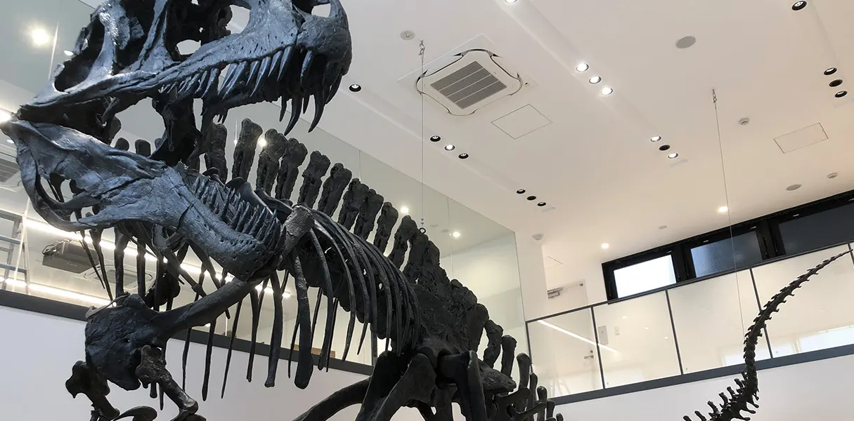 博物館・恐竜自然史専攻