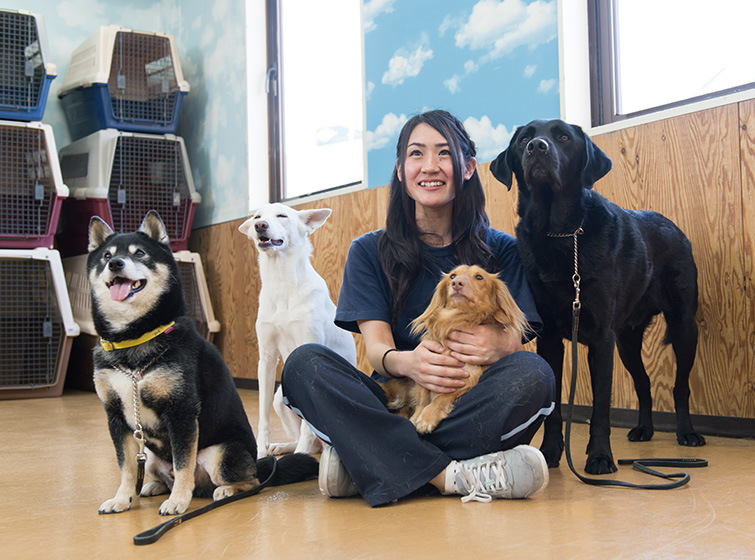 犬の行動学