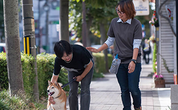 保護犬ゼロに向けて、ここが最後の砦に