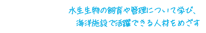 水生生物の管理について学び、水族館やアクア業界で活躍できる人材をめざす