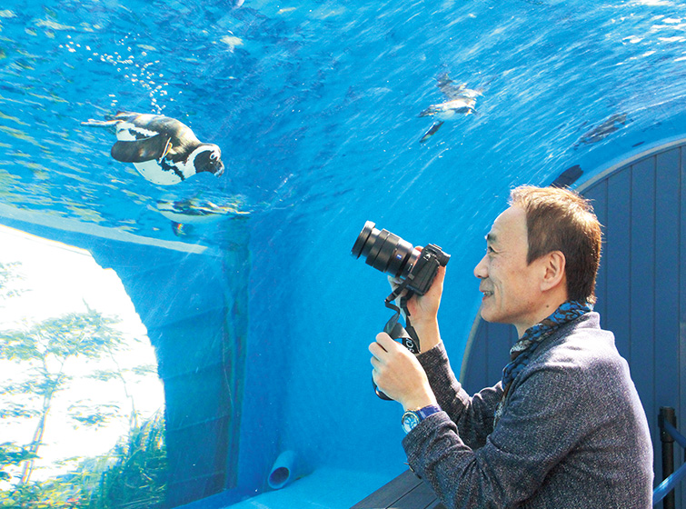 水族館・展示と運営のデザイン論