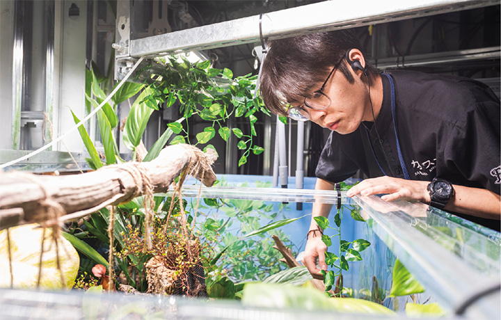 魚も好きだけど、お客様の喜ぶ笑顔がもっと好きです。人との会話やコミュニケーションを取ることが重要。