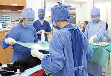 動物看護実習室（手術室）