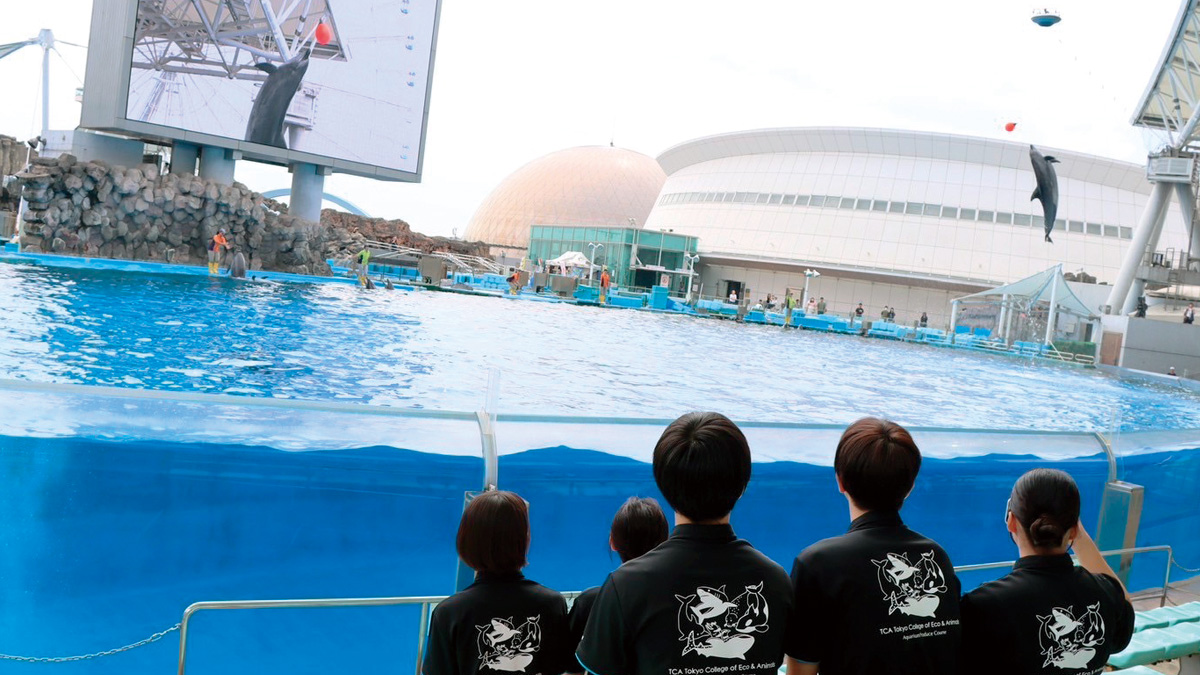 名古屋港水族館