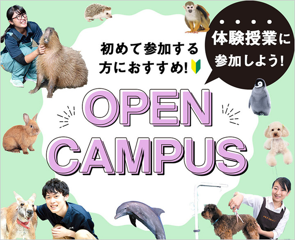 オープンキャンパスで体験授業に参加しよう！