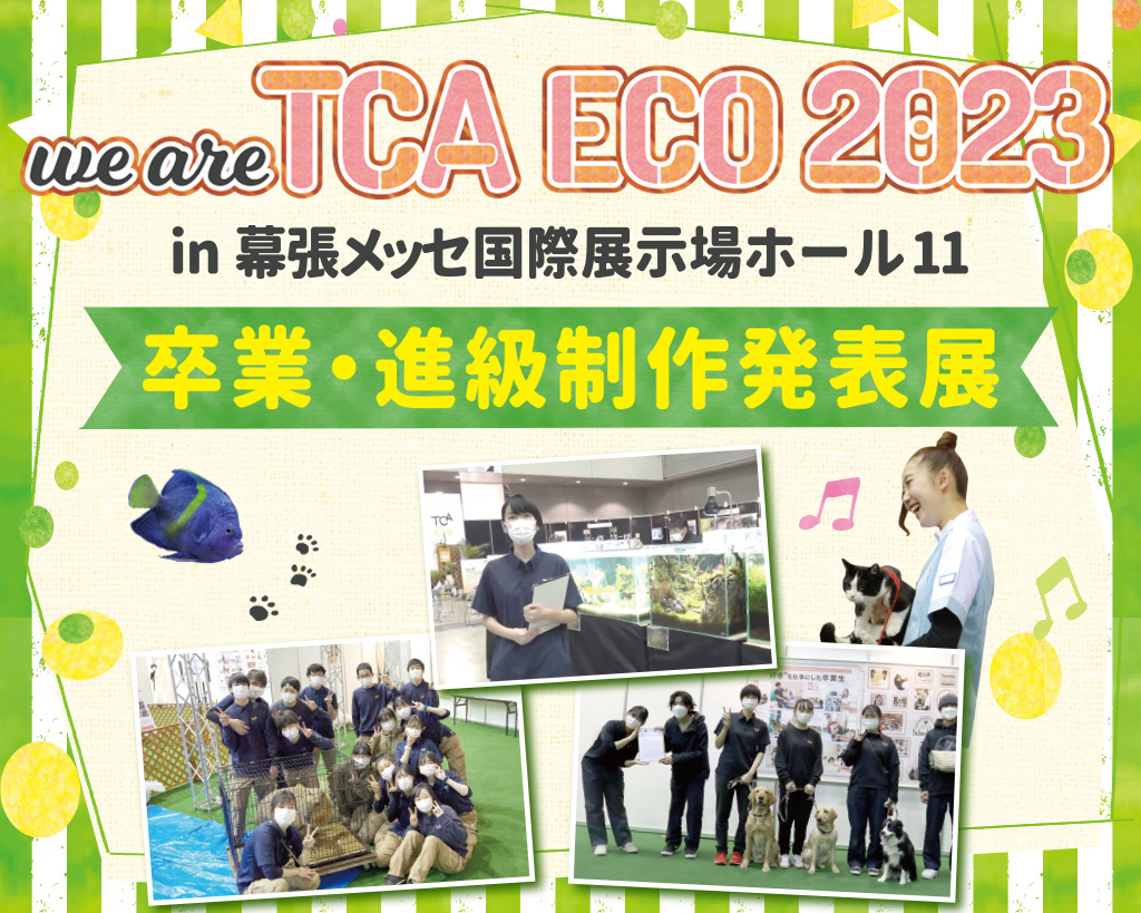 we are TCA ECO 2023