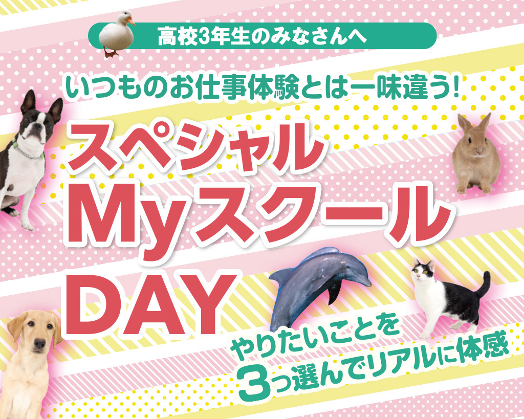 スペシャルMyスクールDAY