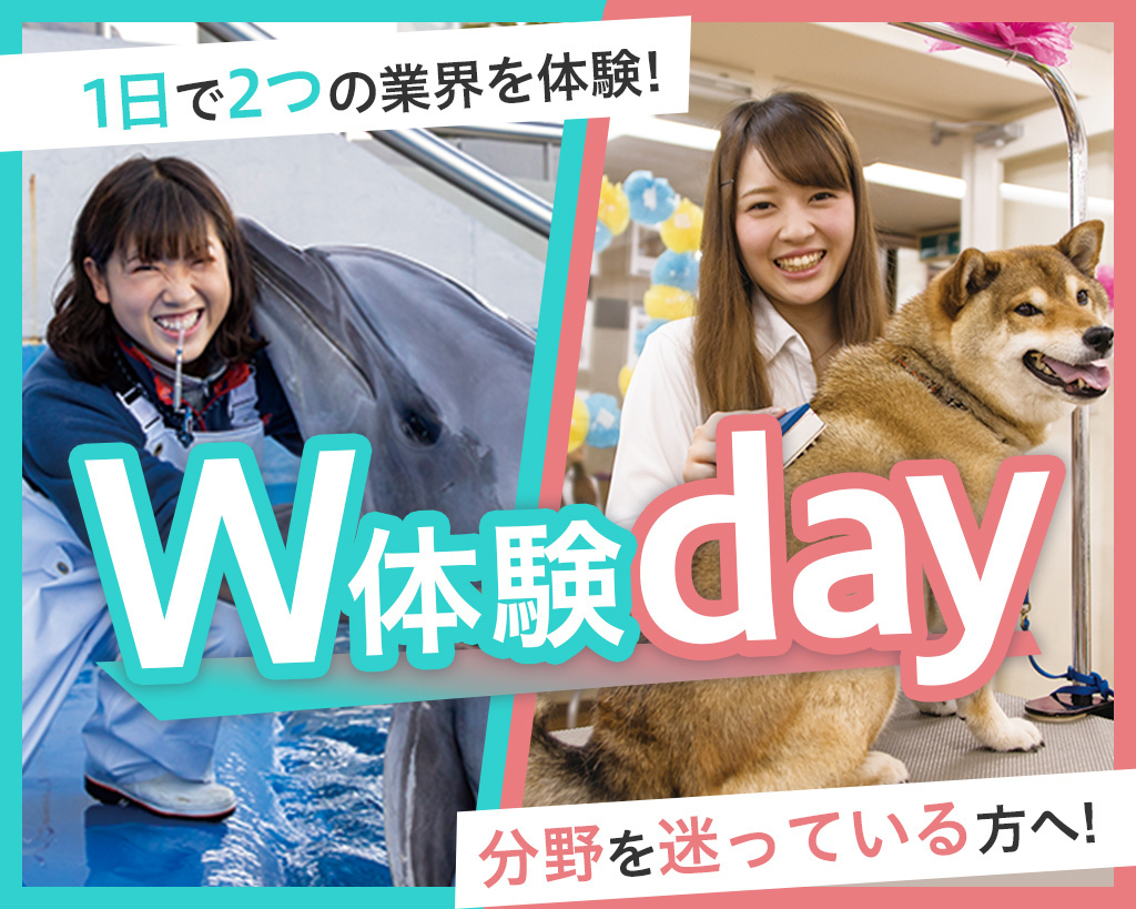 W体験day