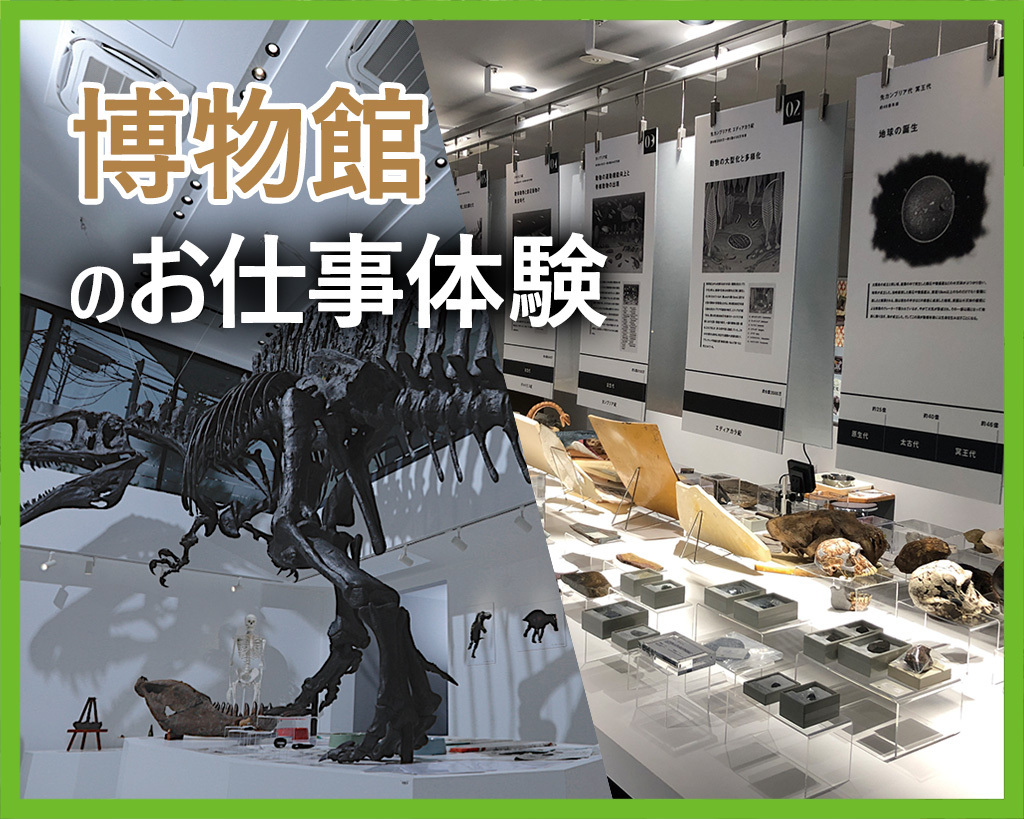 博物館のお仕事体験　東京ECO博物館で実践してみよう！