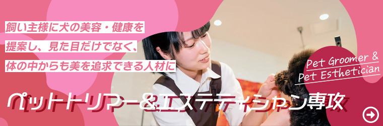 トリマーとは トリマーになるために必要な資格や仕事内容 給料について 動物 海洋 ペット業界コラム