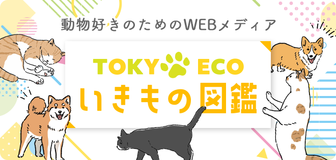動物好きのためのWEBメディア TOKYO ECOいきもの図鑑