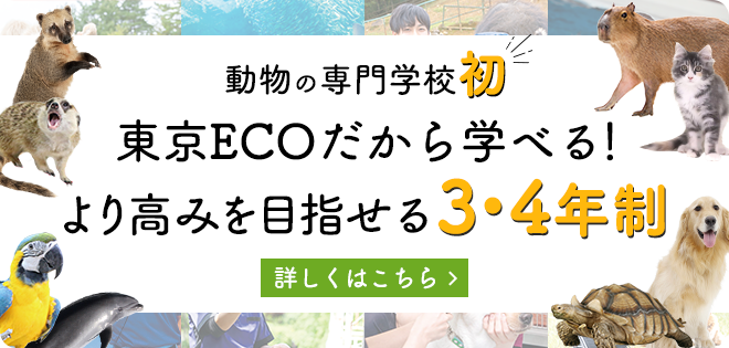 動物の専門学校初　TCAECOだから学べる！より高みを目指せる3・4年制