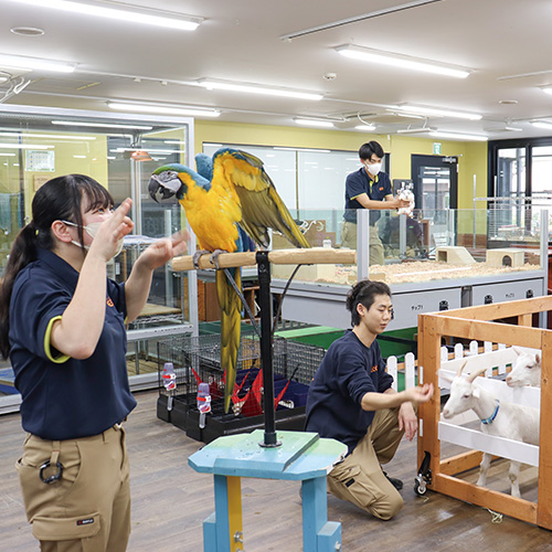 夢をかなえる、東京ECOの魅力その3