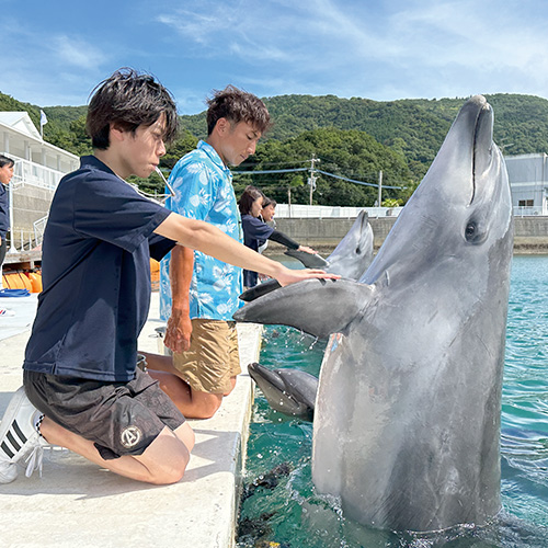 夢をかなえる、東京ECOの魅力その4