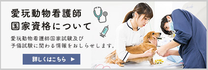 愛玩動物看護師 国家資格について 愛玩動物看護師国家試験及び 予備試験に関わる情報をおしらせします。
