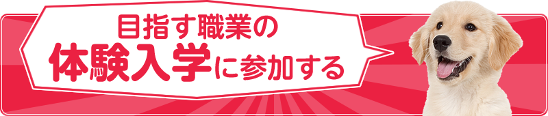 目指す職業体験に参加する