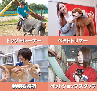 犬や猫に関わる仕事がしたい