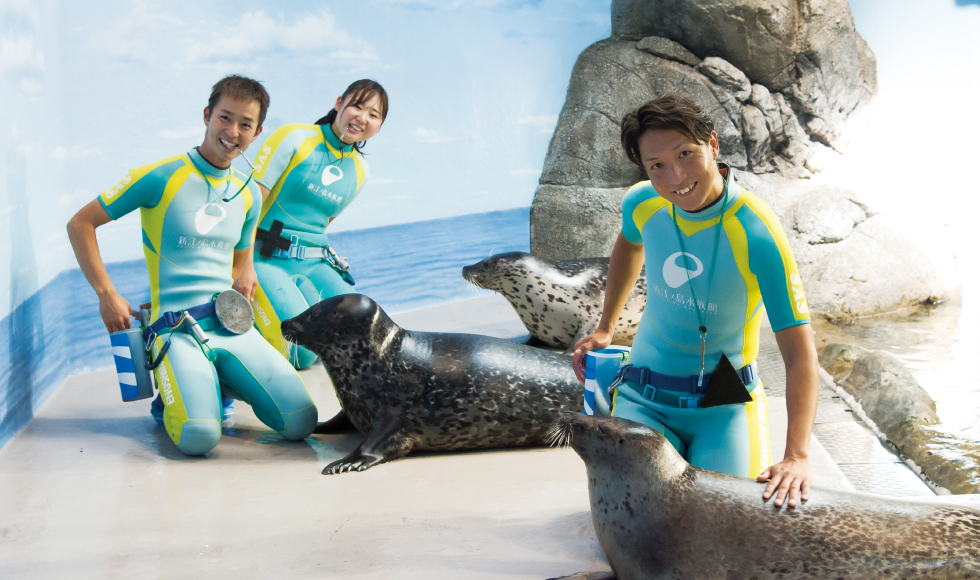 水族館 トレーナー に なるには